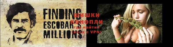 гашик Михайловка