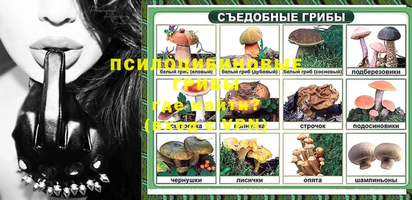 гашик Михайловка