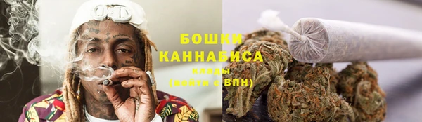 гашик Михайловка